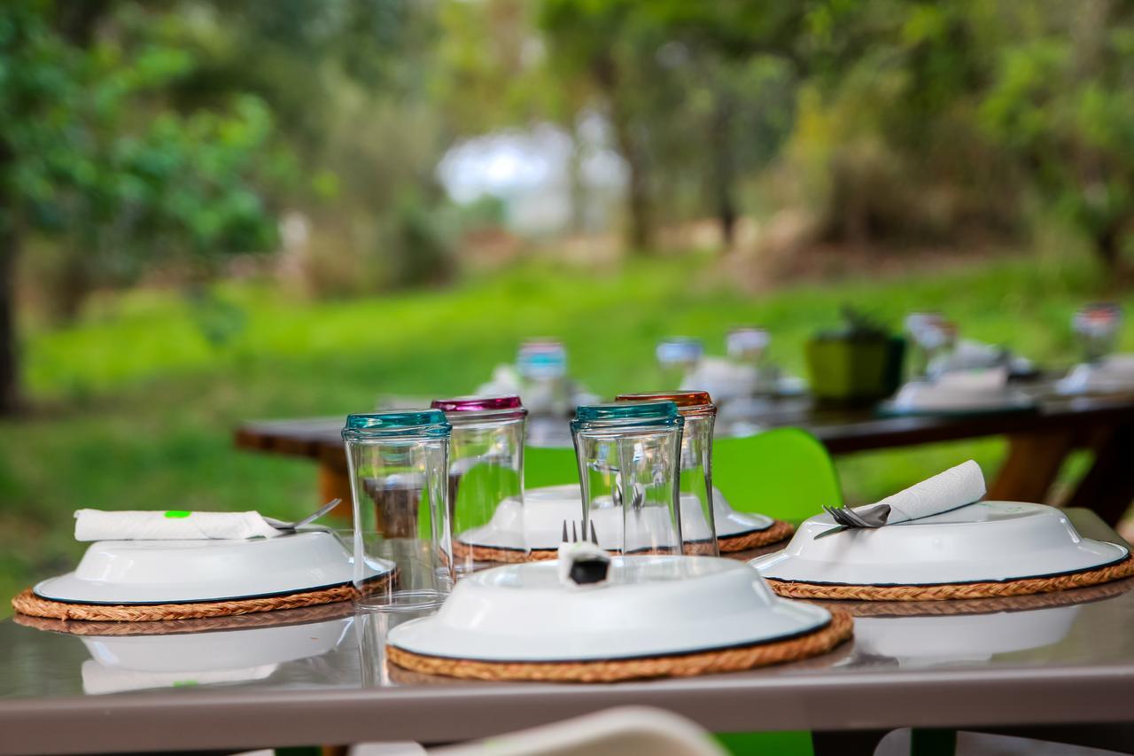Bushbaby Lodge At Nkonyeni Manzini Zewnętrze zdjęcie